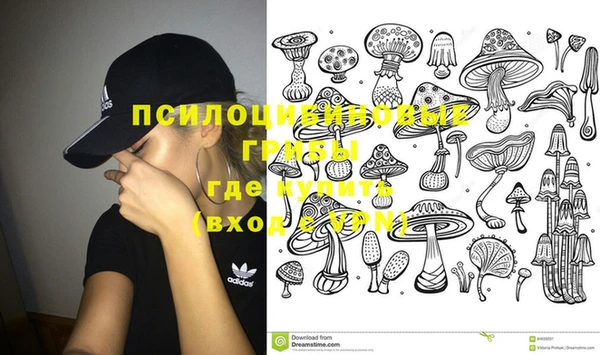 стафф Балабаново