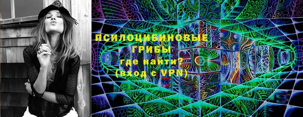 стафф Баксан