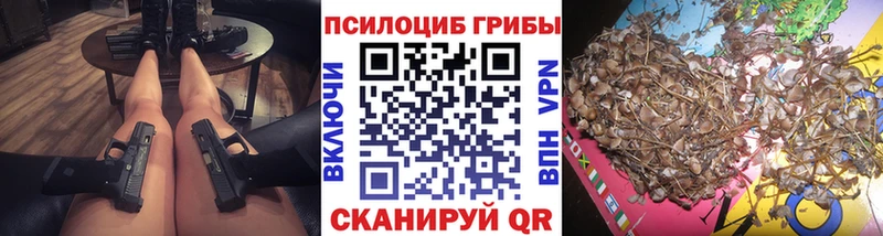 где найти   мориарти формула  Псилоцибиновые грибы MAGIC MUSHROOMS  Никольское 